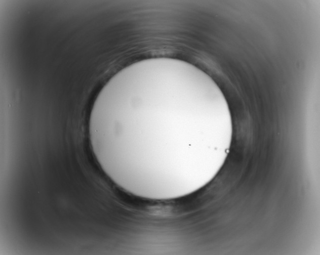 X0000088900362200706080831