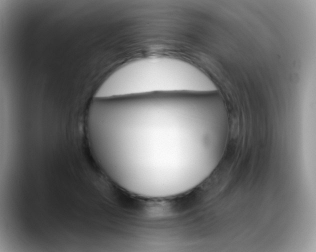 X0000088900363200706080831