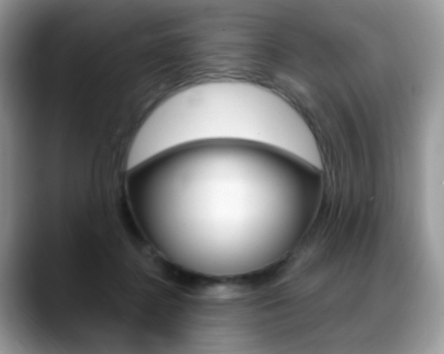 X0000088900364200706080831