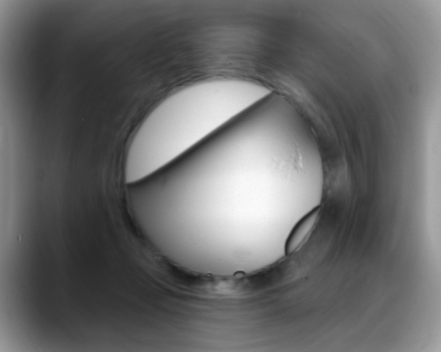 X0000088900365200706080831