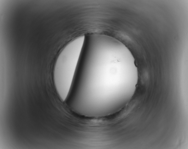 X0000088900366200706080831