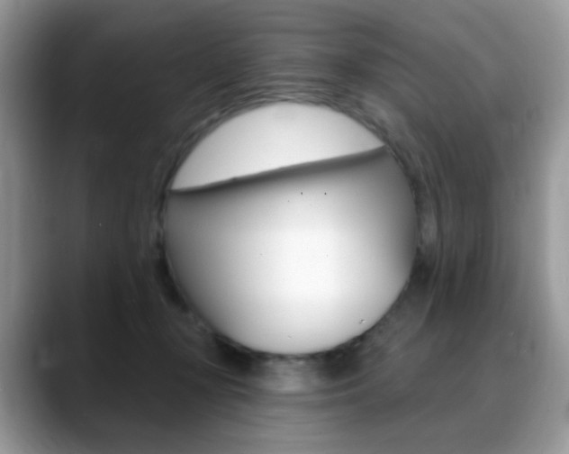 X0000088900367200706080831