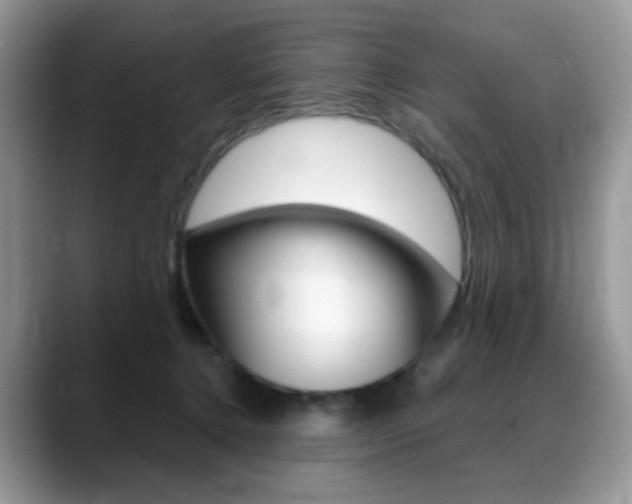 X0000088900368200706080831