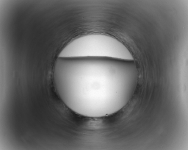 X0000088900369200706080831