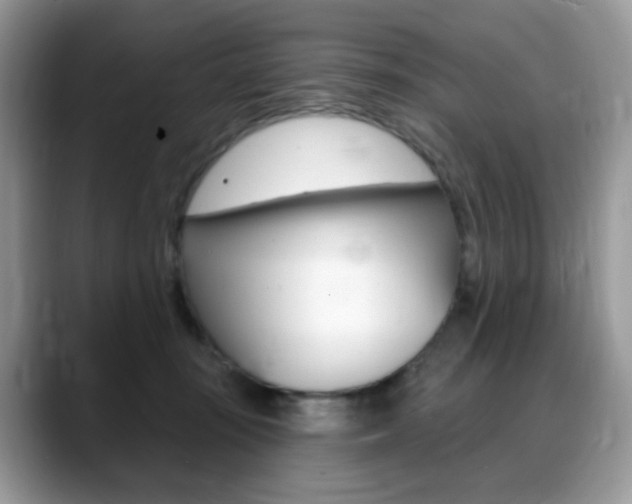 X0000088900371200706080831
