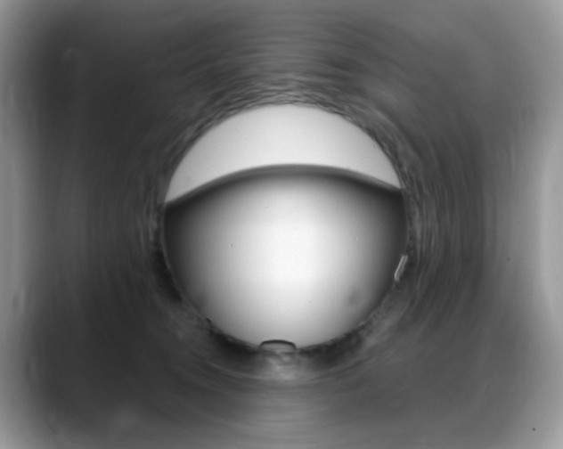 X0000088900372200706080831