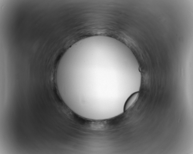 X0000088900373200706080831