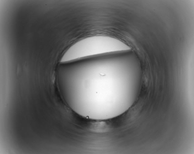 X0000088900374200706080831