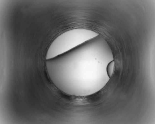 X0000088900375200706080831