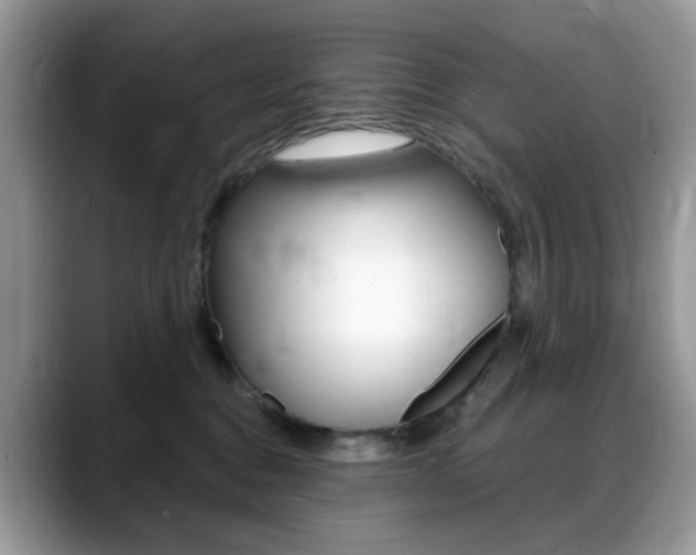 X0000088900376200706080831