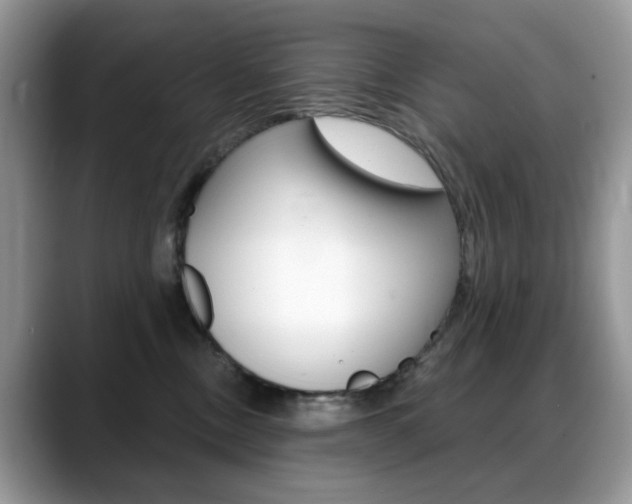 X0000088900378200706080831