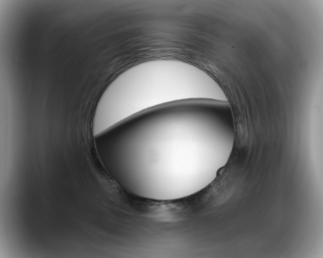 X0000088900379200706080831