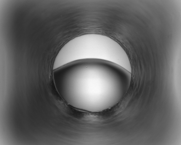 X0000088900380200706080831