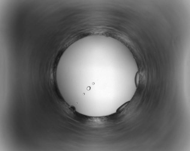 X0000088900381200706080831