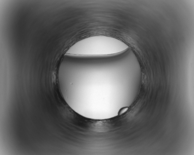 X0000088900382200706080831