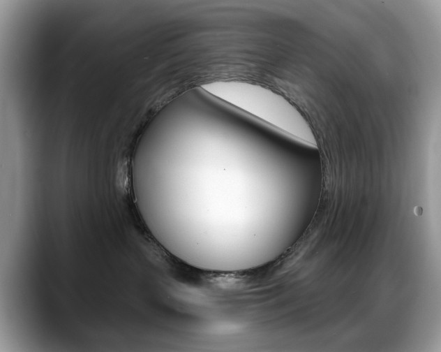 X0000088900383200706080831
