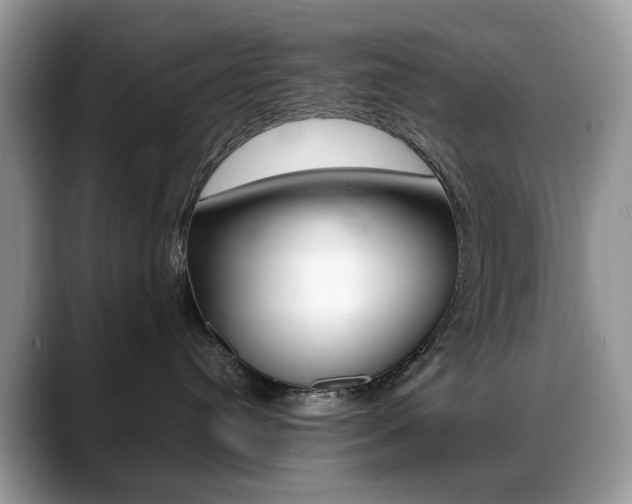 X0000088900384200706080831