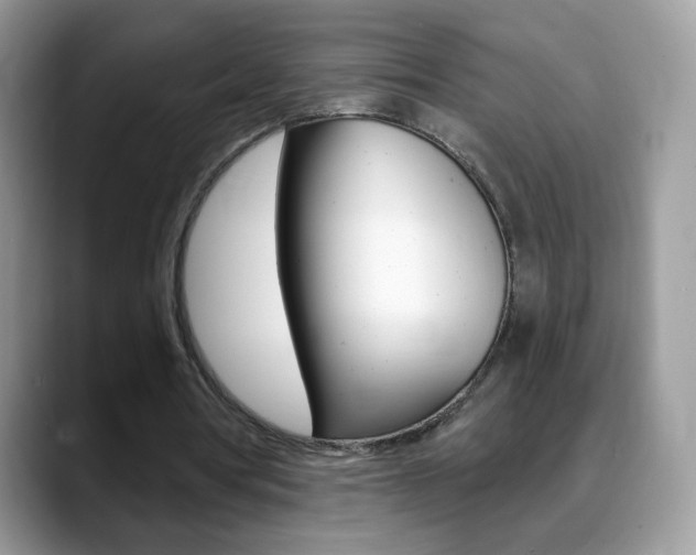 X0000088900386200706080831