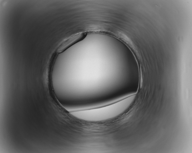 X0000088900387200706080831