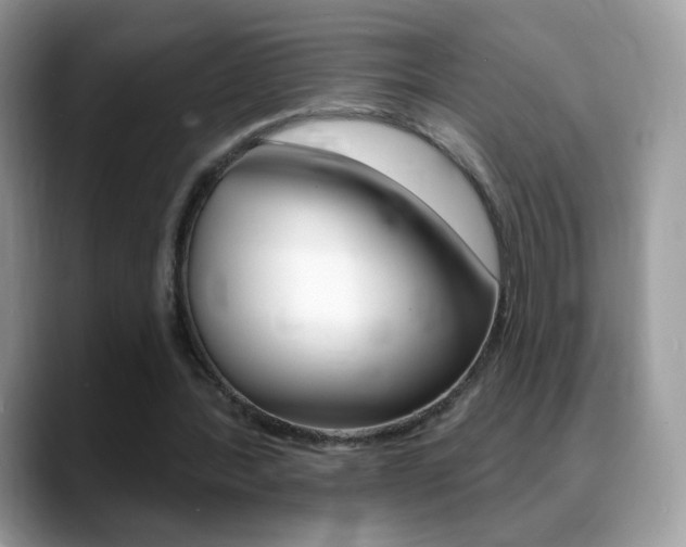 X0000088900388200706080831