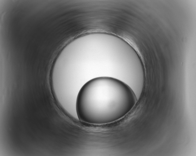 X0000088900389200706080831