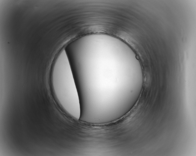 X0000088900390200706080831