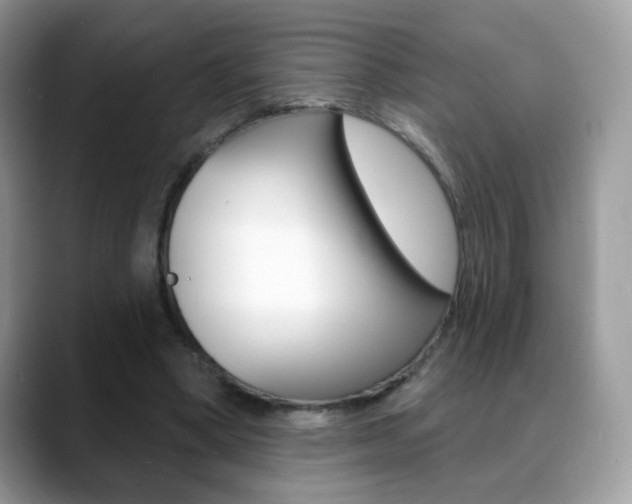 X0000088900394200706080831