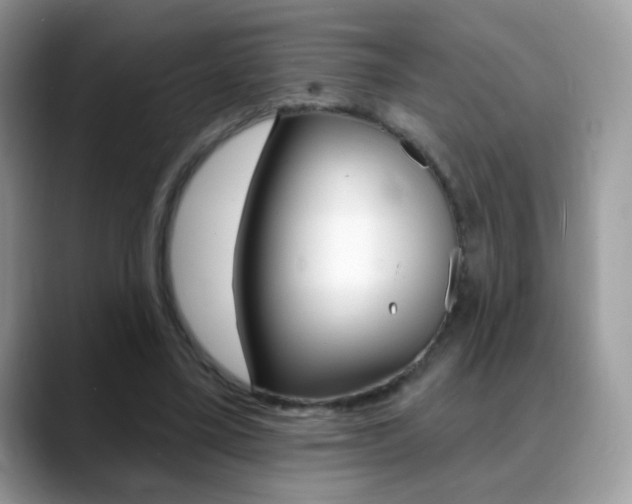 X0000088900395200706080831