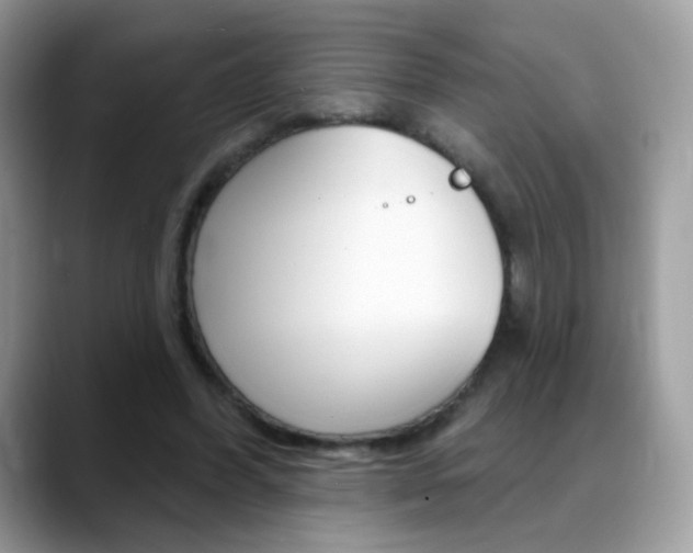 X0000088900396200706080831