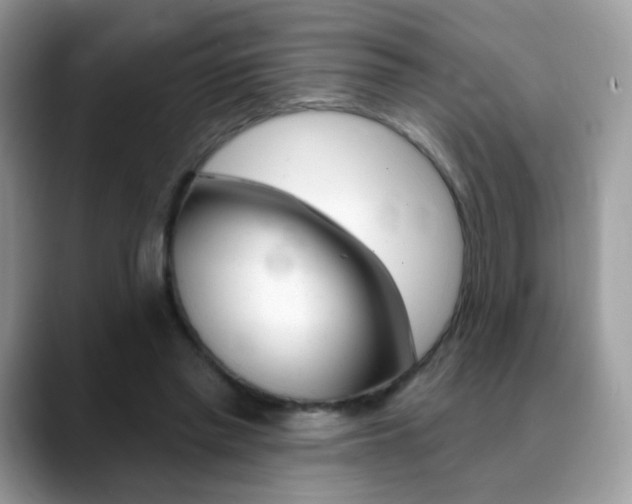 X0000088900397200706080831