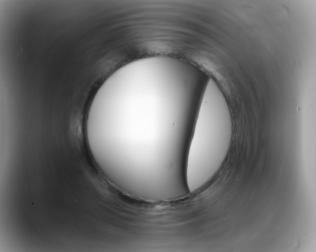 X0000088900398200706080831