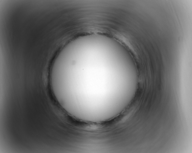 X0000088900402200706080831