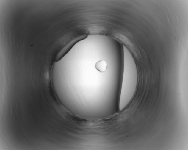 X0000088900405200706080830