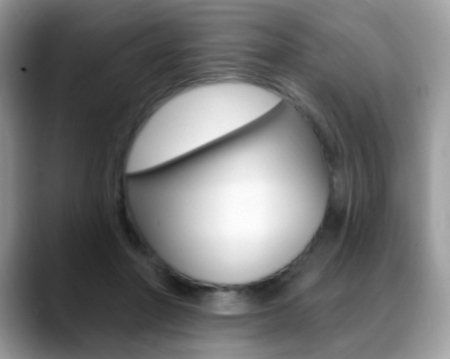 X0000088900406200706080830