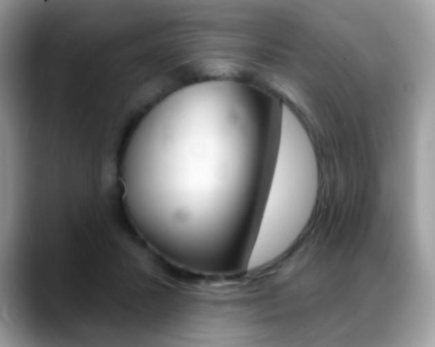 X0000088900407200706080830