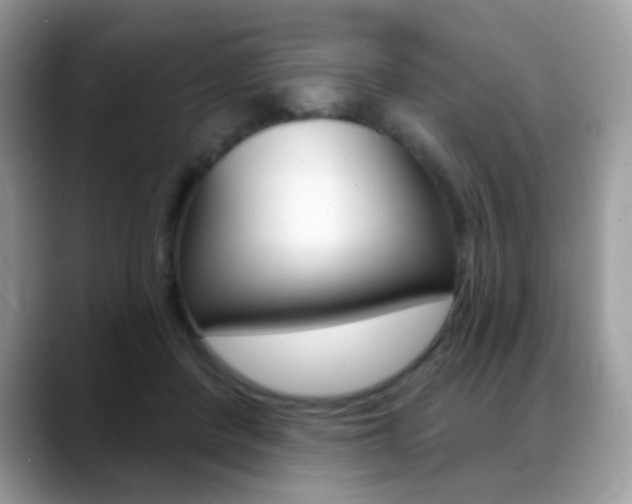 X0000088900408200706080830