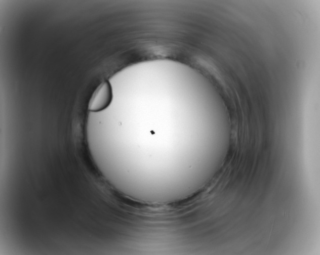 X0000088900410200706080830