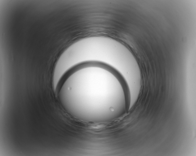 X0000088900411200706080830