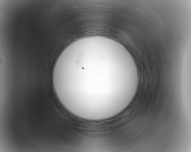 X0000088900412200706080830