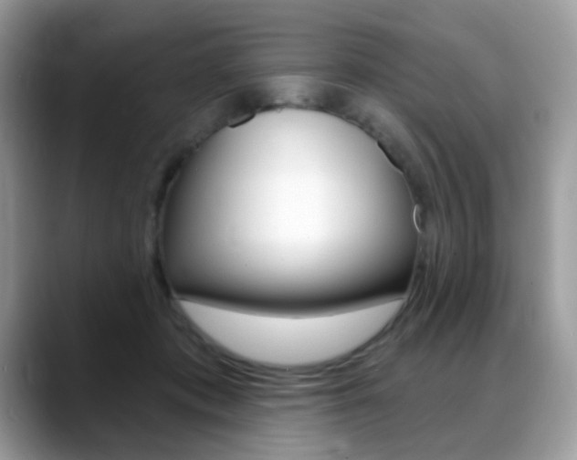 X0000088900413200706080830