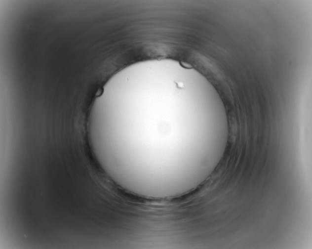X0000088900414200706080830