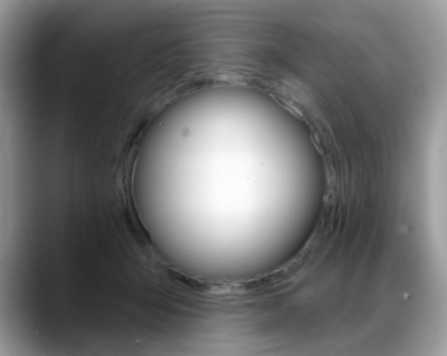 X0000088900415200706080830