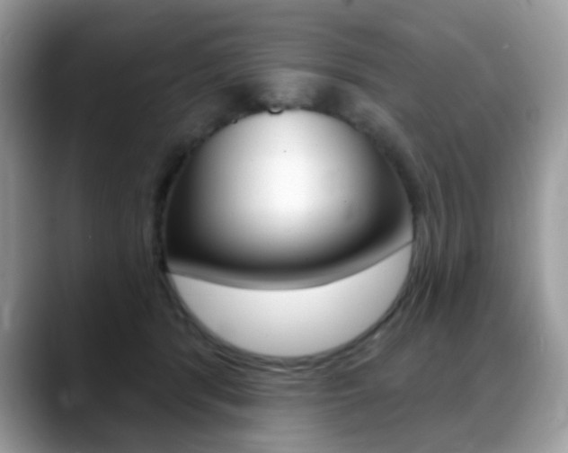 X0000088900416200706080830