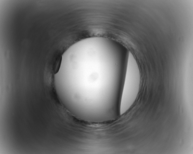 X0000088900417200706080830