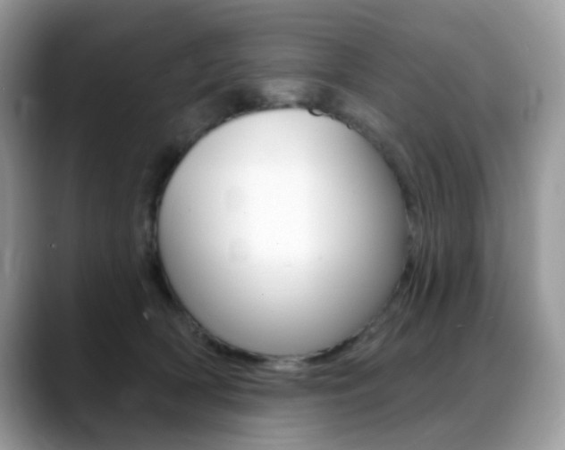 X0000088900418200706080830