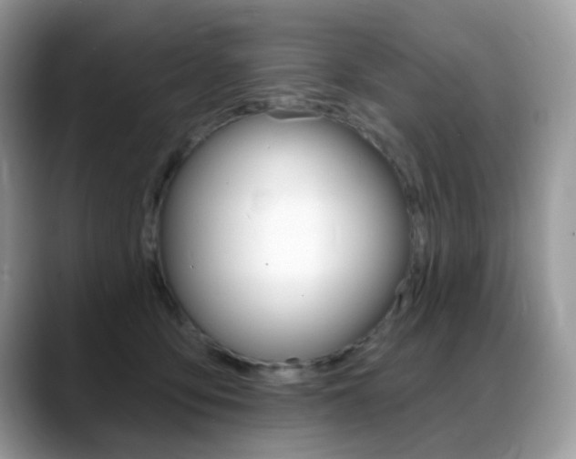 X0000088900419200706080830