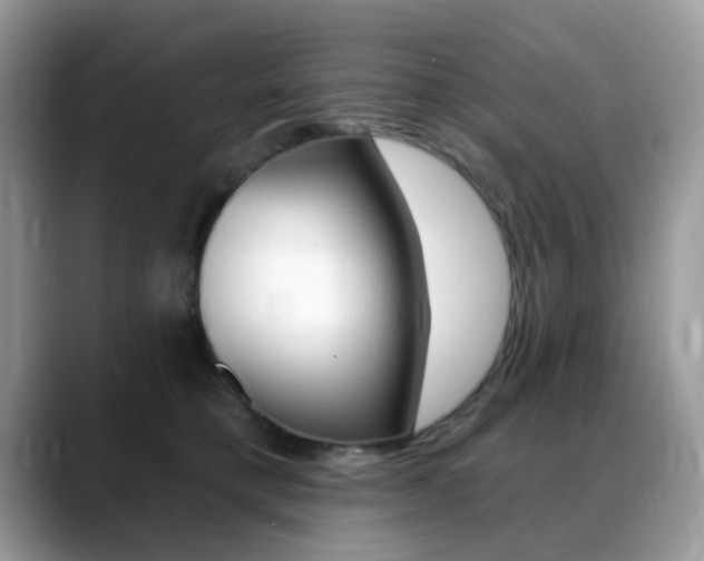 X0000088900421200706080830