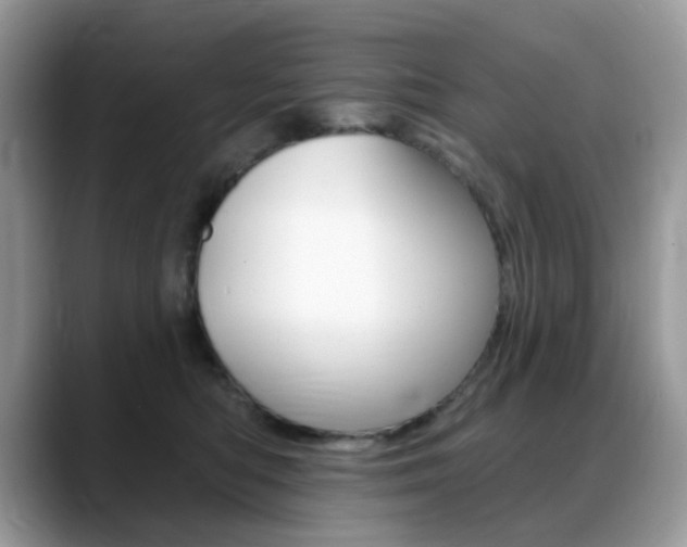 X0000088900422200706080830