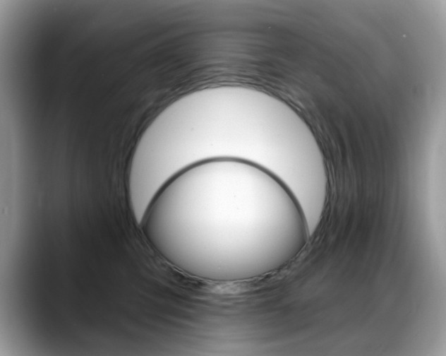 X0000088900423200706080830