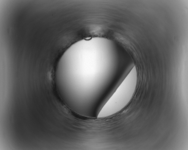 X0000088900424200706080830